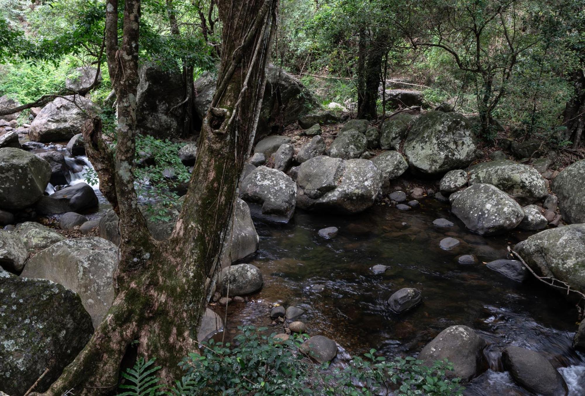 The Glenrock Wellness Nature Resort Belihuloya Extérieur photo